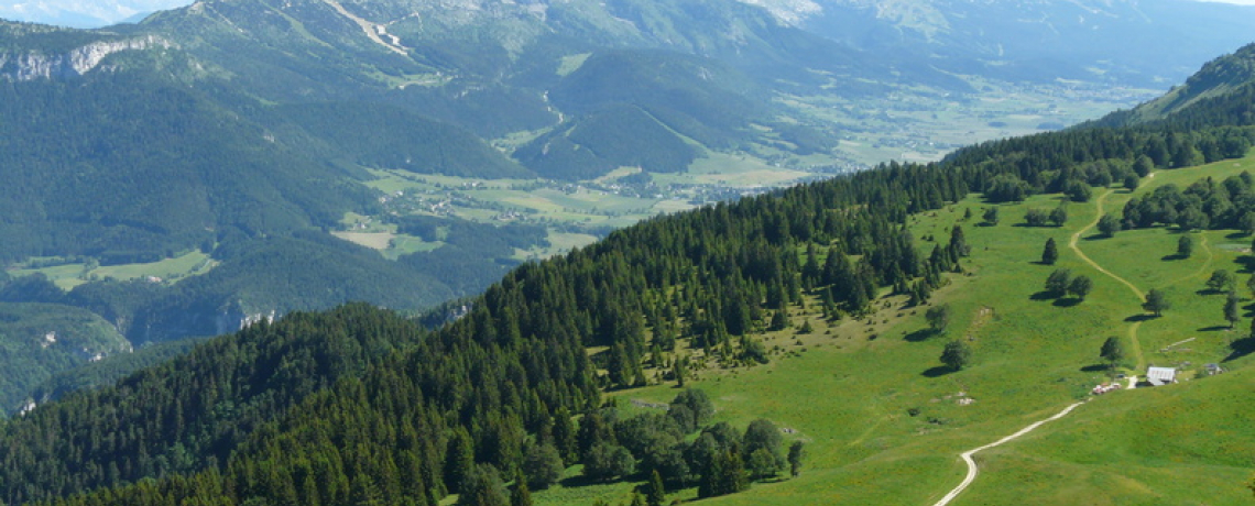 Le plateau de la Molière