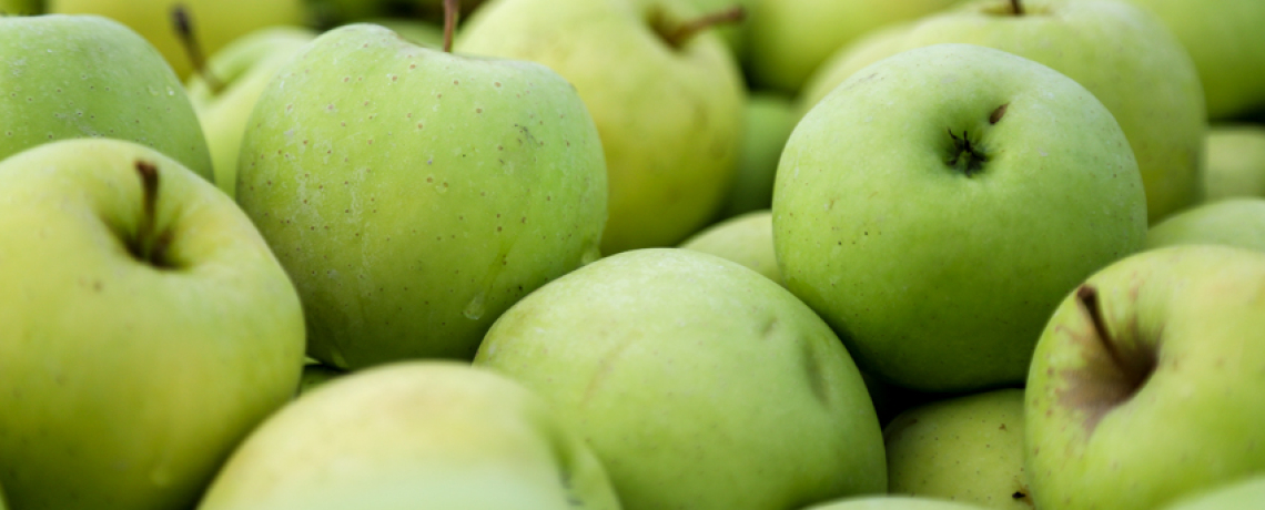 Les petits fruits de la forêt