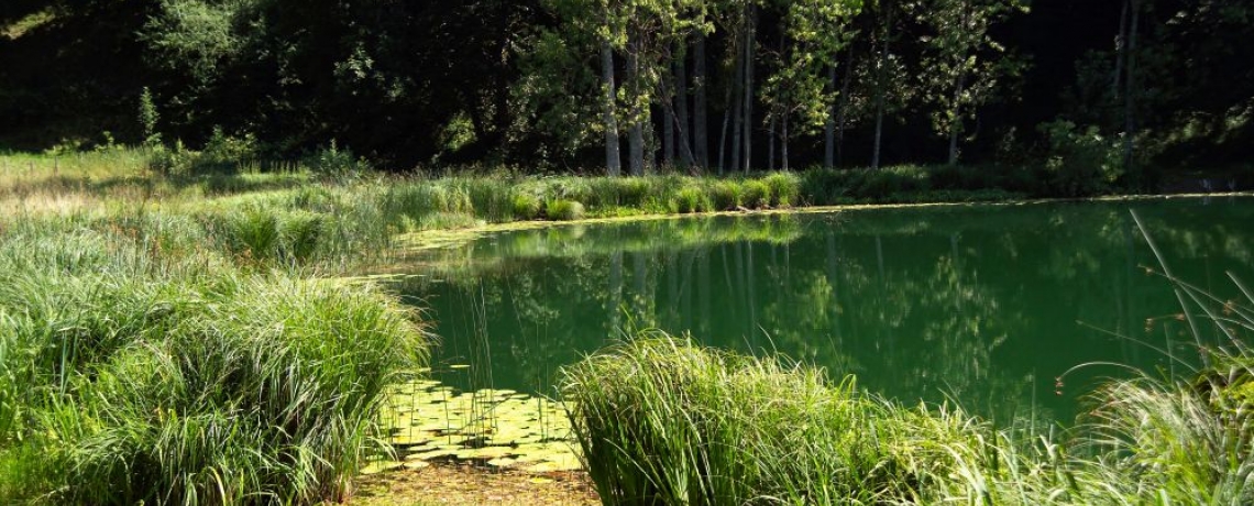 Photo Lac de Saint Sixte Valdaine