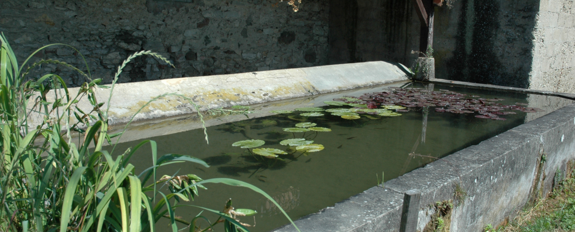 Lavoir Vignieu - OTSI Morestel