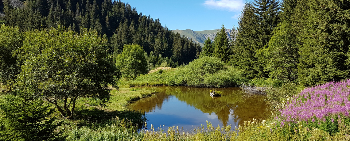 Lac de Prévourey - 8 km - Bleu