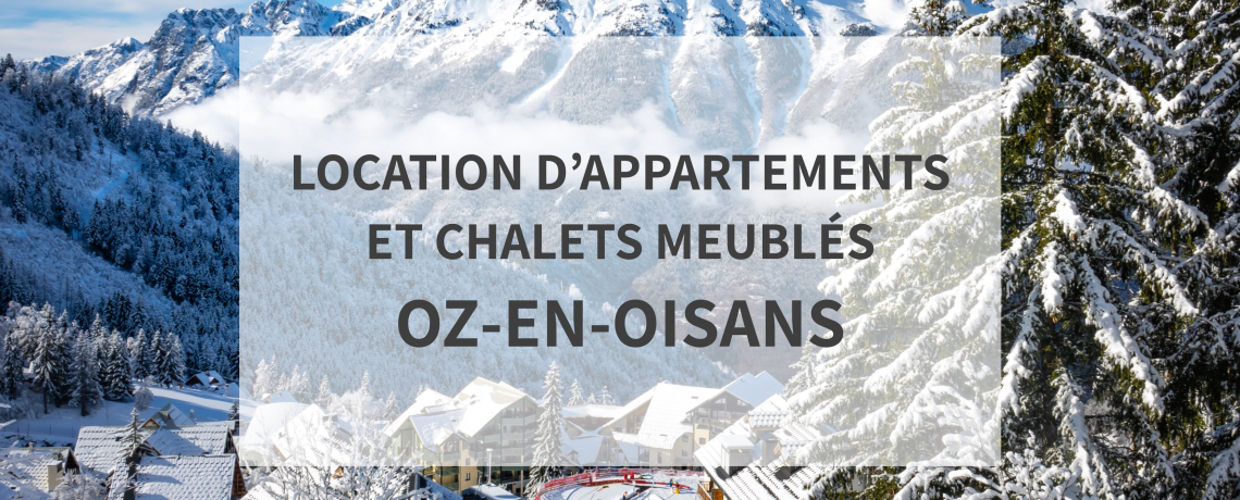 Chalet des Neiges - Pic Blanc Appartement B11 - Mme Van Langendonck