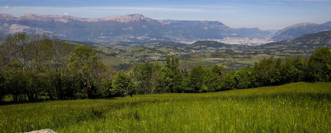 Trail " Grand Sud"