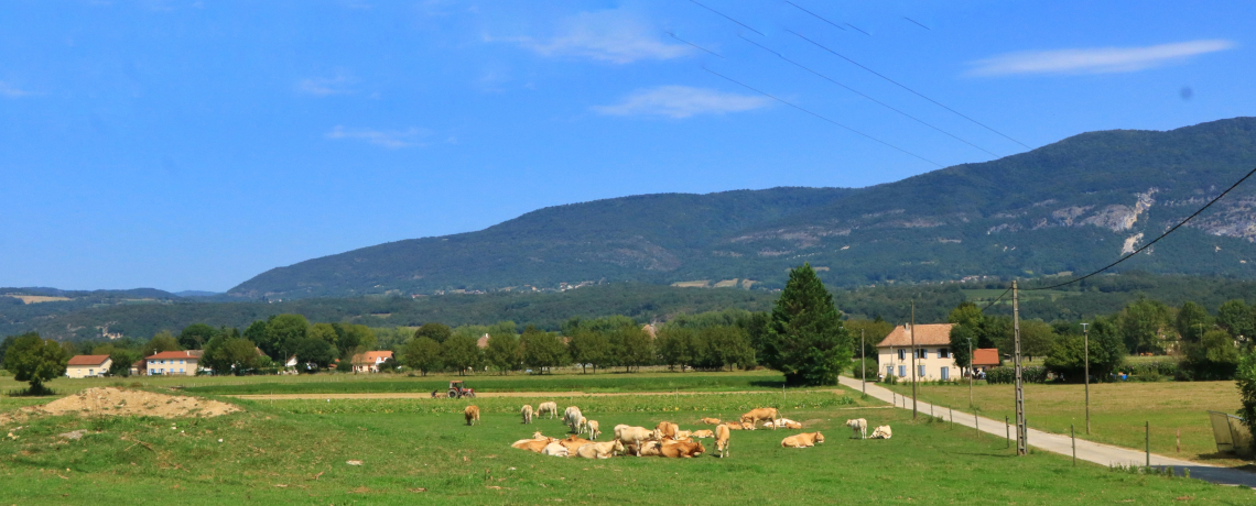 La Tour des Saveurs - producteur - Brangues - Balcons du Dauphin - Nord-Isre-  moins d'une heure de Lyon