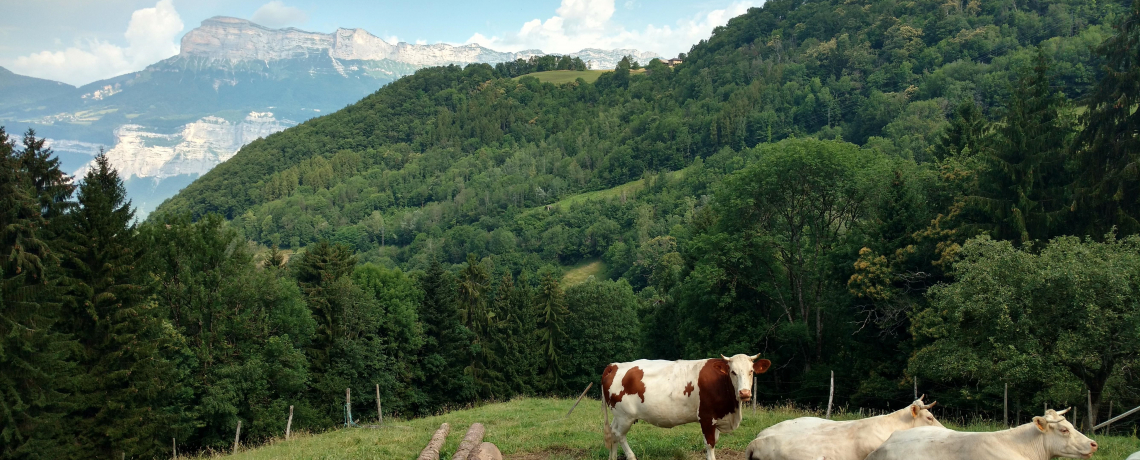 Vue sur la dent de Crolles