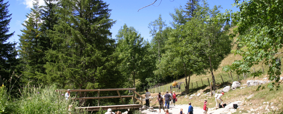 Pont de l'Amour