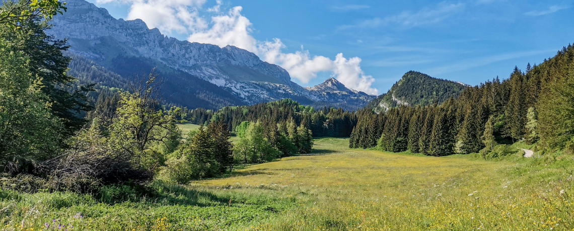 Vallon de la Fauge