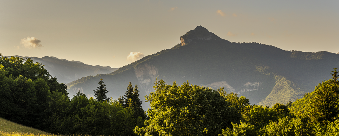 LE RACHAIS DEPUIS LE COL DE VENCE