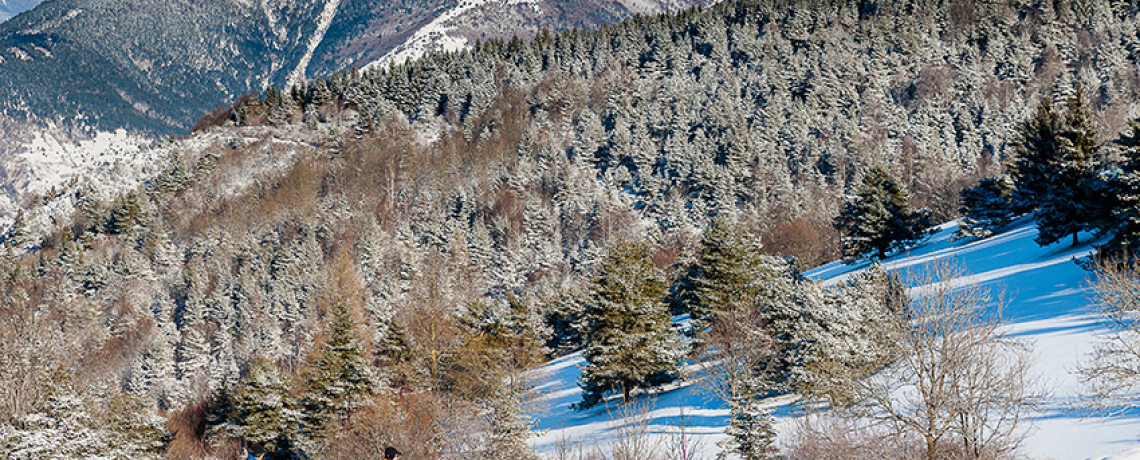 Raquettes aux Signaraux via la Pierre Plantée