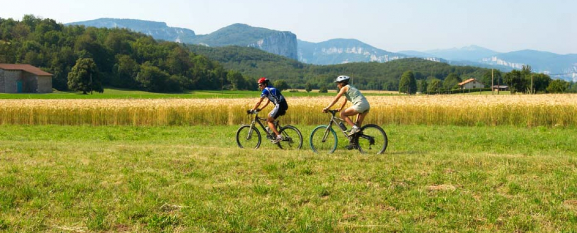 Base VTT Royans-Coulmes | Circuit 08 : Le Col de Romeyère