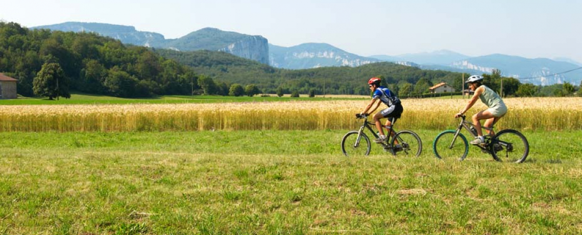 Base VTT Royans-Coulmes | Circuit 20 : La Goulandière