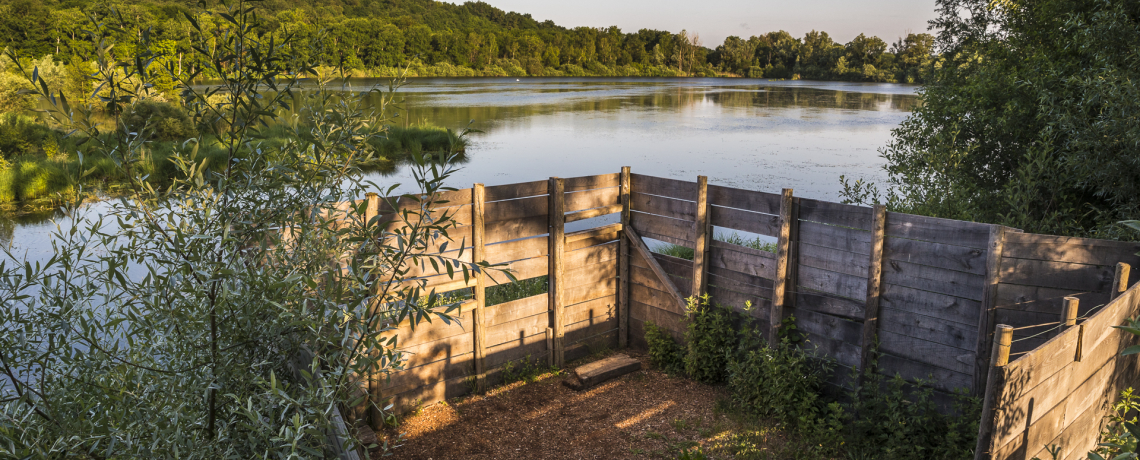 Etang de Lemps - Balcons du Dauphin