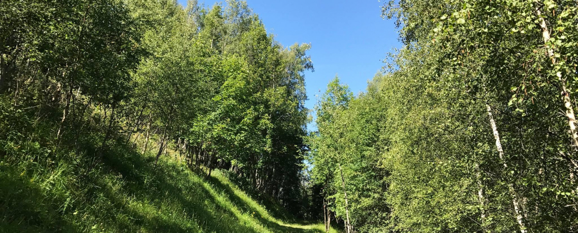 VTT Enduro - La Molière