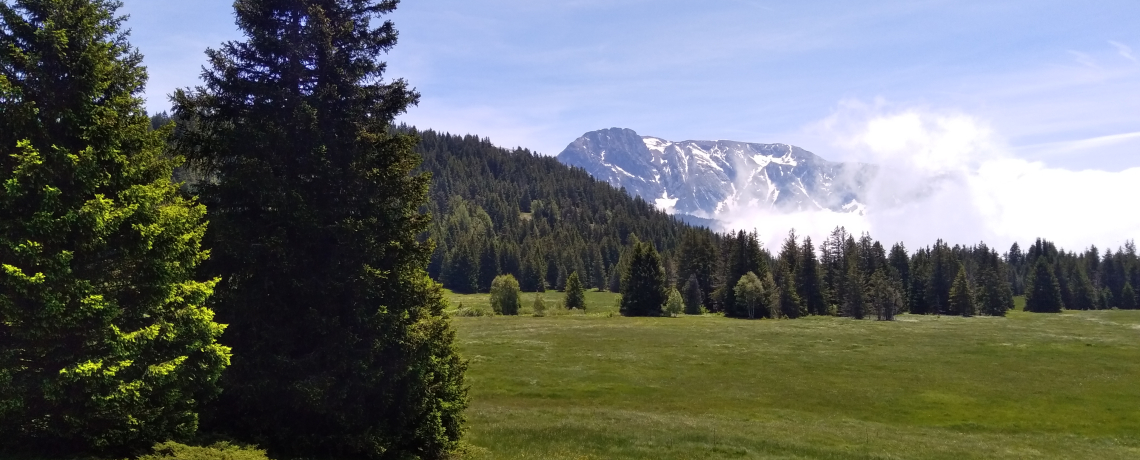 Plateau de l'Arselle