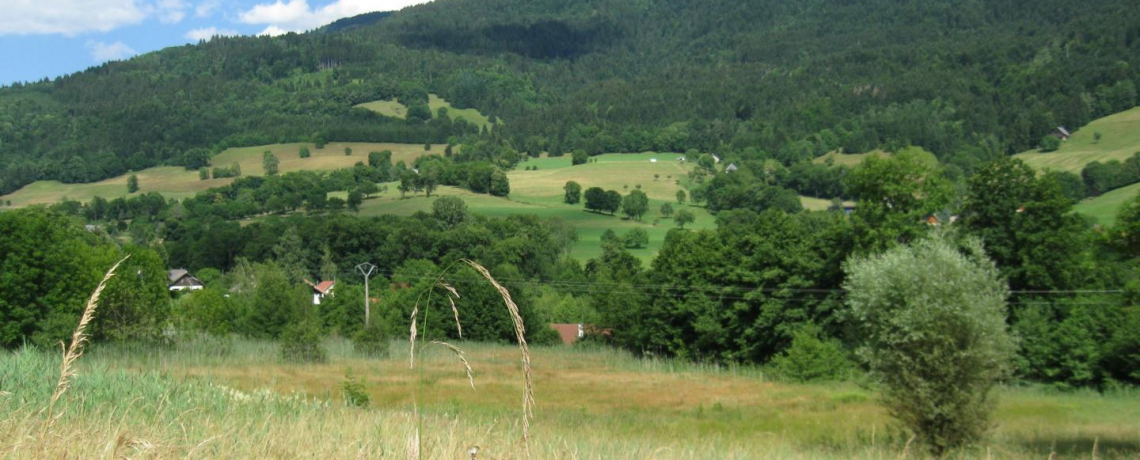 Bel&#039;Vélec Theys - Marais des Bruns