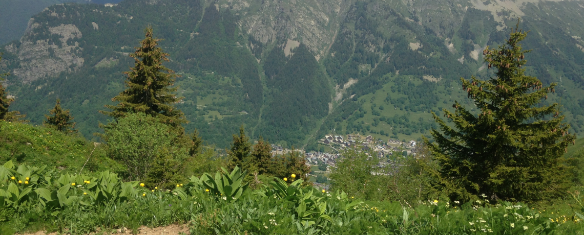 Voyage au bout de l&#039;alpage : Sentier des Jasses, l&#039; Alpette,  l&#039;Enversin