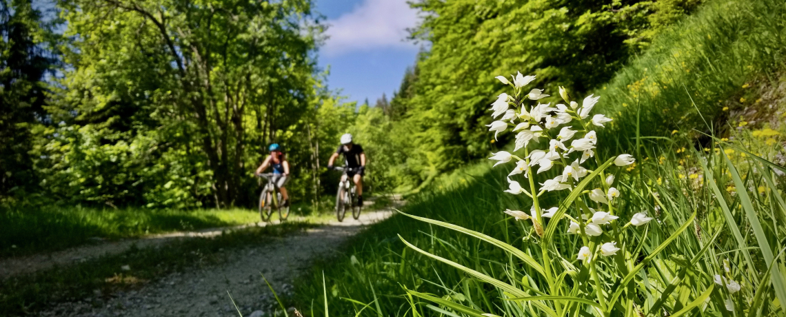 Parcours VTT -  Boucle de St Hilaire à St Bernard