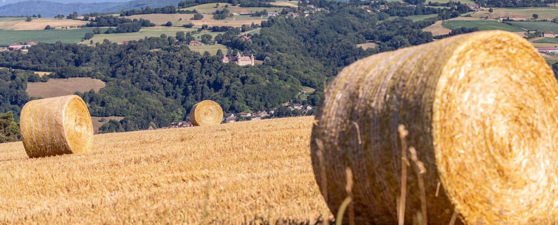 Randonne Chlieu par monts et ruisseaux - vue chteau de Virieu