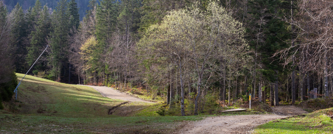 Liaison Cote 2000/Corrençon en Vercors - Rouge