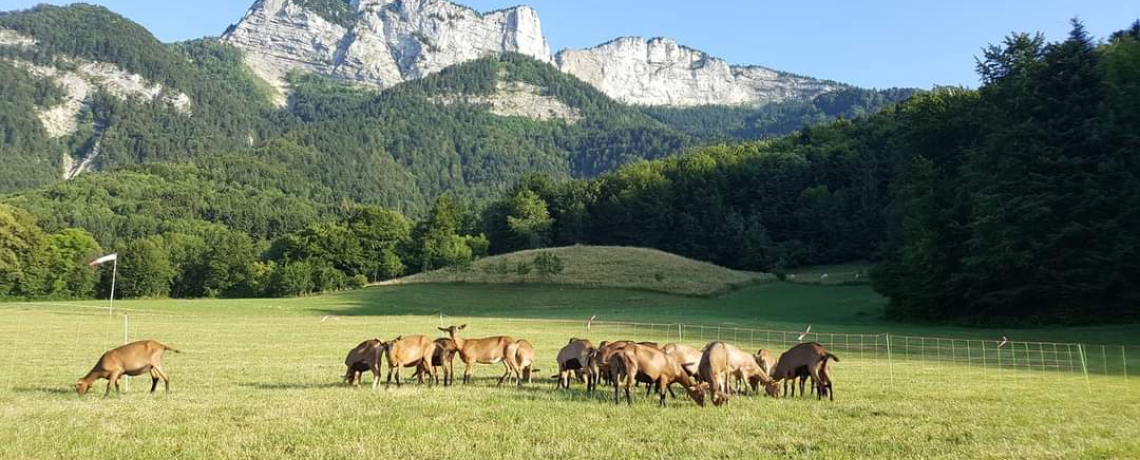 GAEC de Cybèle