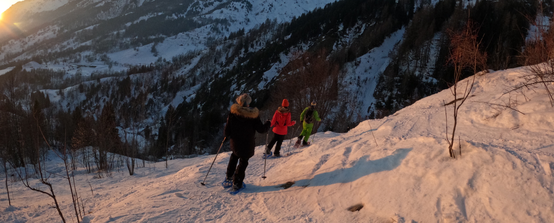 Sentier raquettes : Montfrais et ses points de vue