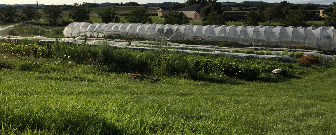 Les jardins de Méryl