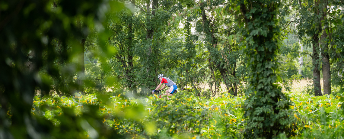 Randonnée à VTT à L&#039;Isle-d&#039;Abeau, La Verpillière, Saint-Quentin-Fallavier et Vaulx-Milieu