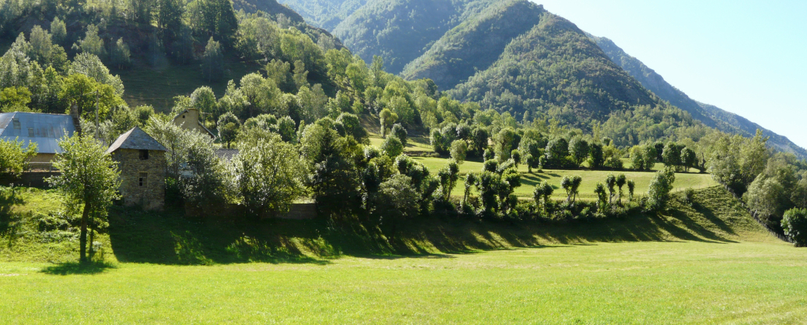 N°25 Le plat de Moulin Vieux VTTAE - Vert