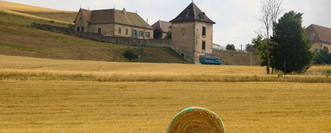 Serre des 9 églises