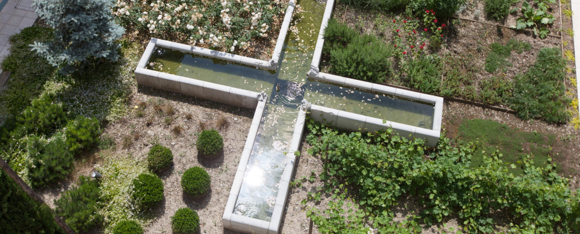 Découverte du jardin patrimonial du couvent Sainte-Cécile