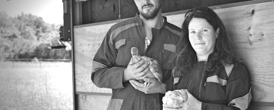 Les Poulets des Templiers - producteur - Courtenay - Balcons du Dauphin