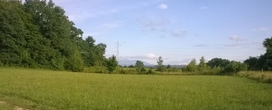 Terrain les Grandes Terres  Arandon-Passins