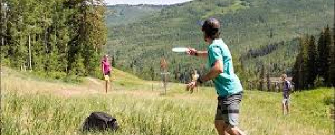 Frisbee golf image