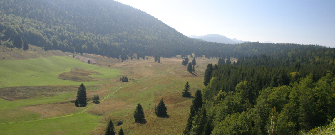 Plaine d'herbouilly