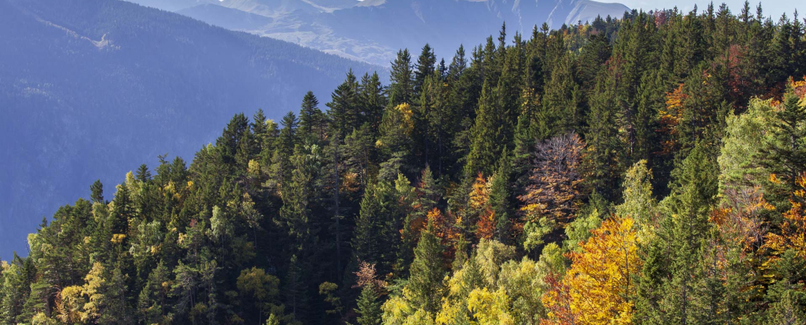 Photo automne domaine montagne Chamrousse