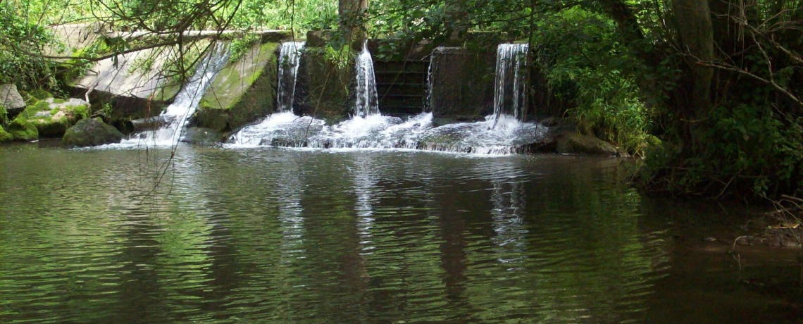 Découverte d&#039;un sentier nature - &quot;Au fil de la Bourbre&quot;