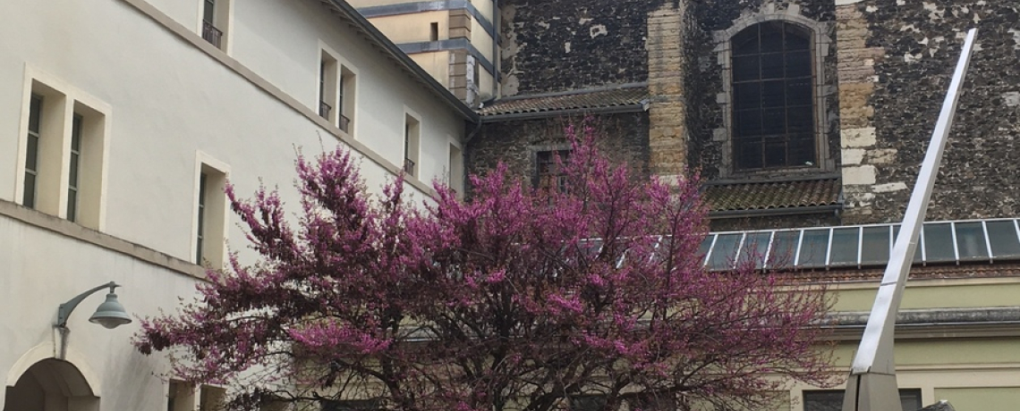 Visite guidée du Collège Ponsard