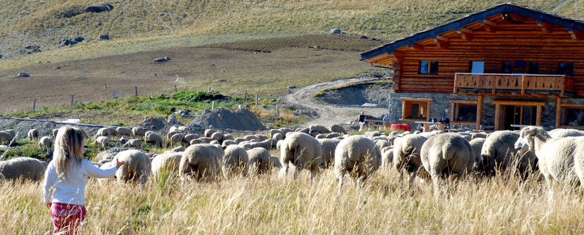 Le refuge de Sarenne