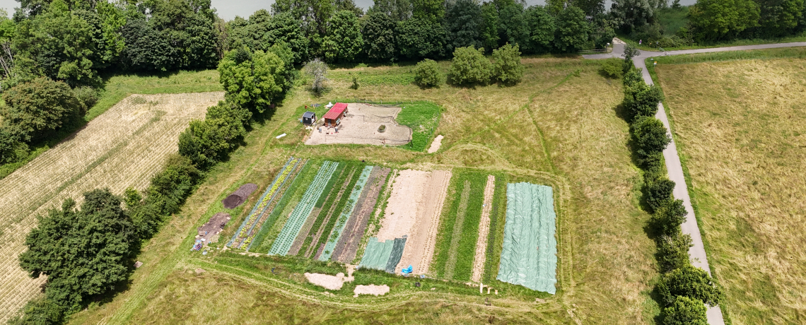 Les jardins du Port Saint Jean - producteur - Brangues - Balcons du Dauphin