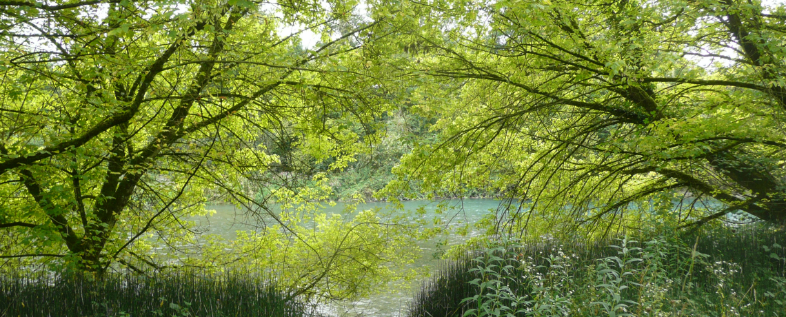 sentier envirhna aux Avenires-Veyrins-Thuellin aux Balcons du Dauphin