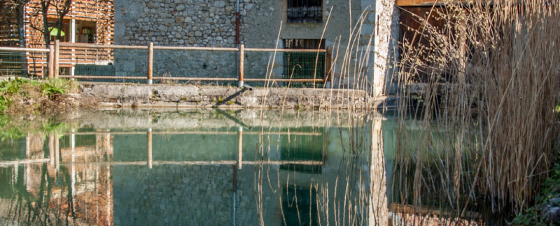 Visite guidée du Moulin des Ayes et de son jardin