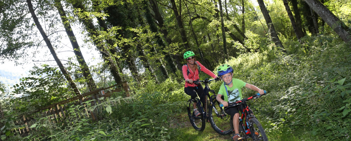 Circuit VTT les marais du Val d'Ainan