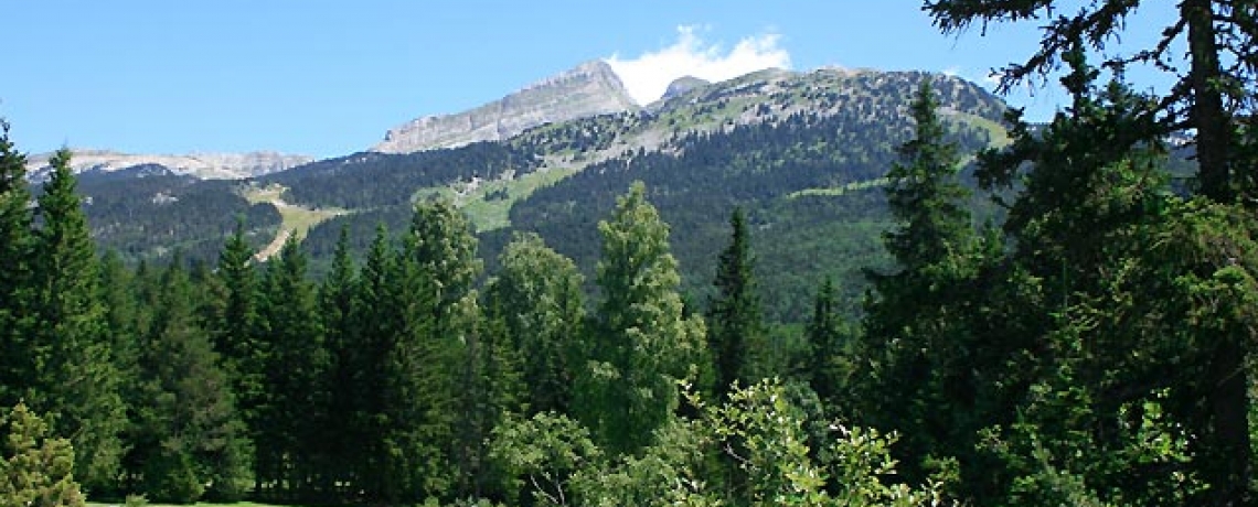 Parc Naturel Régional du Vercors