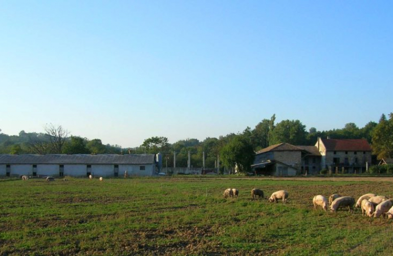 Ferme Micolod