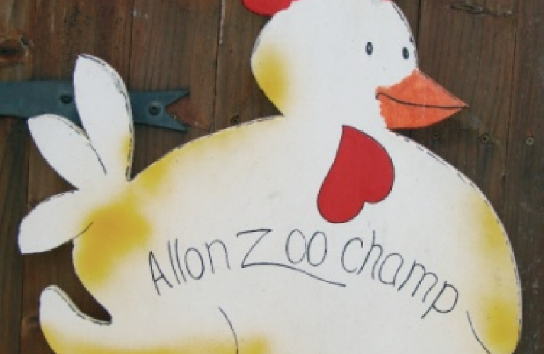 Vente de volailles et autres produits fermiers à la ferme Allon Zoo Champ