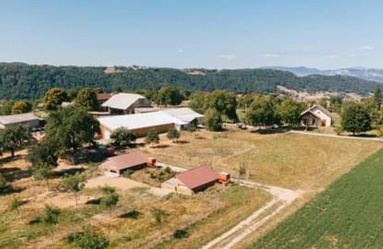 Vente de volailles élevées en plein air à la ferme de la Renounière