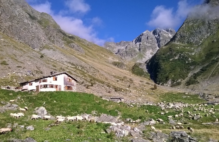 Gîte d&#039;alpage de Combe Madame