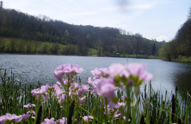 Etang du Thivoley