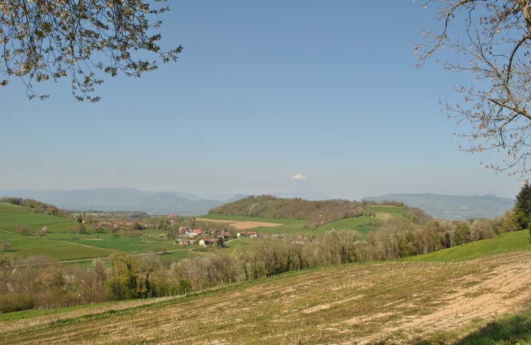 N°4 - Les balcons de la Batie Divisin