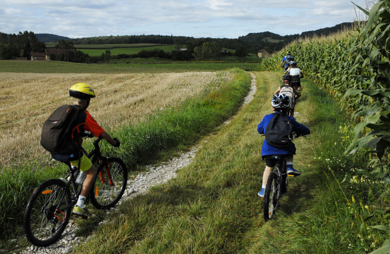 Circuit VTT le champ des vaches